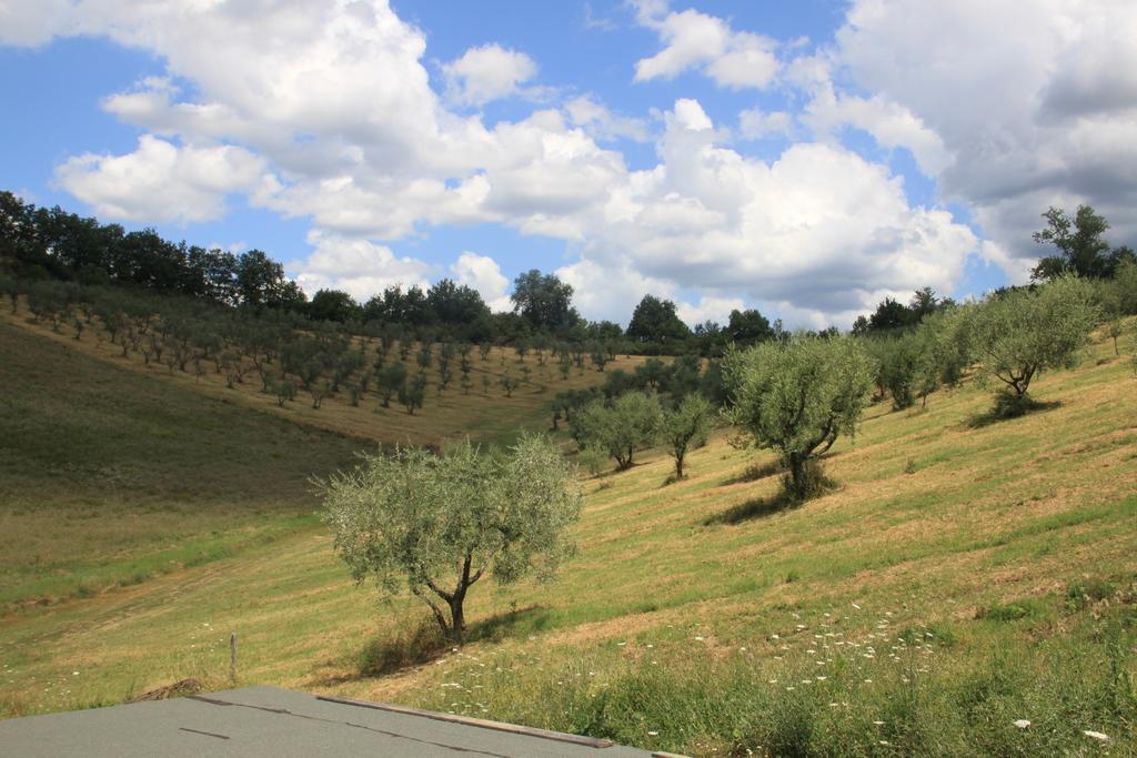 Agriturismo Le Buche Di Viesca Reggello Ngoại thất bức ảnh